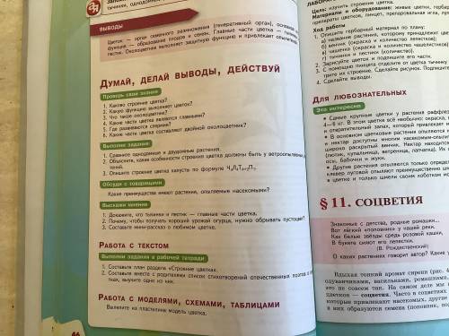 С тр. 46 вопросы выполни задания №2, обсуди с товарищем №1, выскажи мнение №3