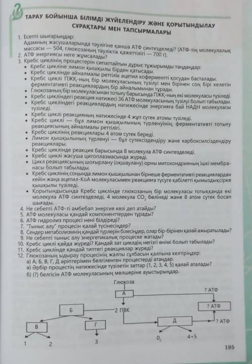 10 класс биология ,казахский класс, 195 страница .