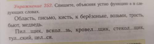 Упражнение 252. Спишите, объясняя устно функцию в сле- дующих словах. Область, письмо, кисть, к берё