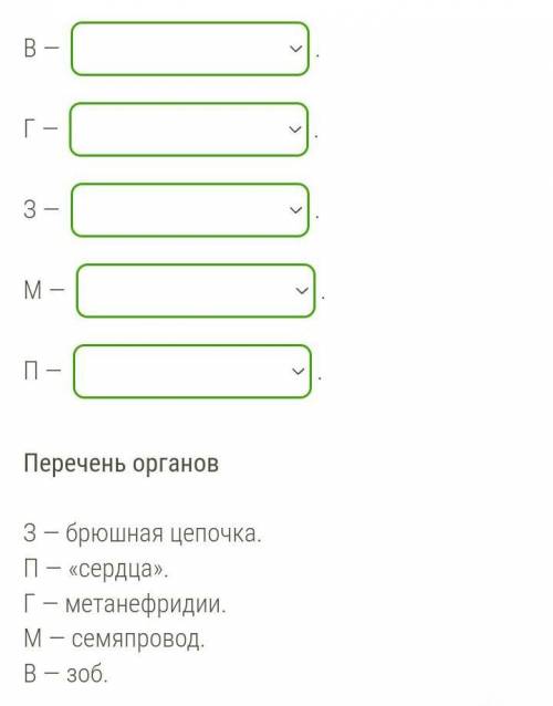 Отметь, к какой системе органов относится орган, обозначенный каждой буквой.