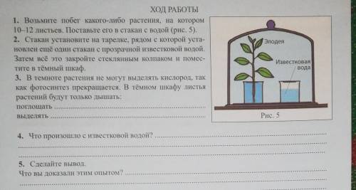 1. Возьмите побег какого-либо растения, на котором 10-12 листьев. Поставьте его в стакан с водой (ри