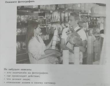 Опишите фотографию Поход в магазин