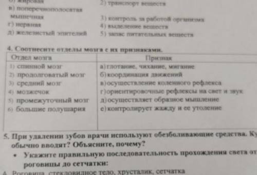 Соотнесите отделы мозга с их признаками с 4