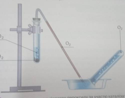 3. Помістіть у прилад розчин гідроген пероксиду об'ємом, який ви обчислили.(28,33мл) Додайте до гідр