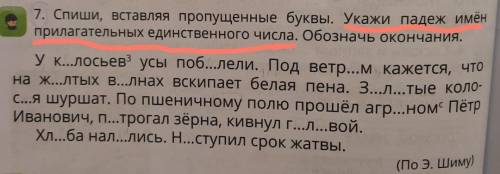 7. Спиши, вставляя пропущенные буквы. Укажи падеж имен прилагательных единственного числа. Обозначь