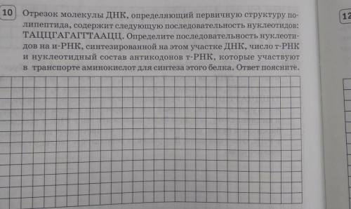 Решите 4 задачи из файла по теме генетический код