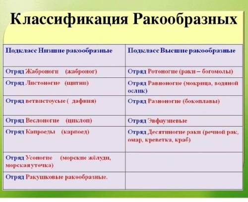 Классификация ракообразны ?