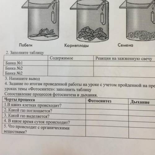 Лабораторная работа 7. 4. Задание по итогам проведеной работы на уроке с учетом пройденной на предыд