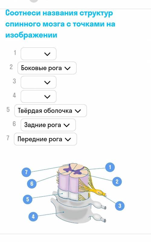 выставьте слова, там уже вставленые слова возможно не правильные