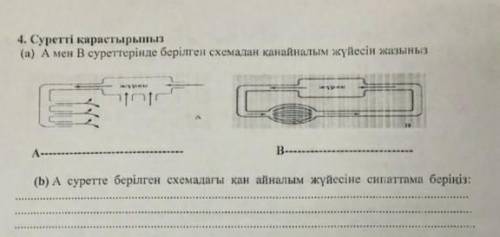 А мен в суреттерінде берілген схемадан қанайлымын жүйесін анықтаныз