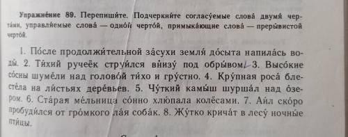 Упражнение 89. Перепишите. Подчеркните согласуемые слова двумя чер- тами, управляемые слова — одній