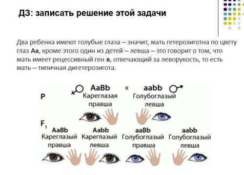 Два ребенка имеют голубые глаза - значит, мать гетерозиготна по цвету глаз Аа, кроме этого один из д