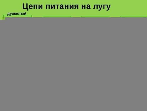 Расскажи о схеме, на которой показано, кто кем или чем питается, об этом природном сообществе. Испол