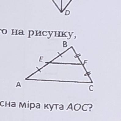 Вiдрiзок EF -середня лінія трикутника ABC, зображеного на рисунку. EF 12 см. Яка довжина вiдрiзка АС