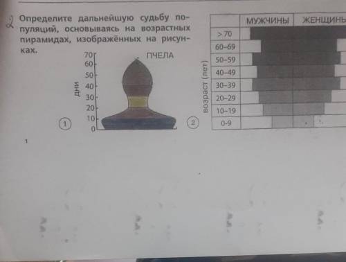 Определите дальнейшую судьбу популяций основываясь на возрастных пирамидах изображенных на рисунках