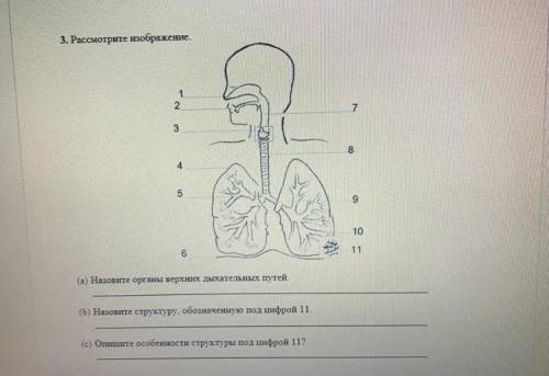 Народ, кто у нас тут биолог? <3