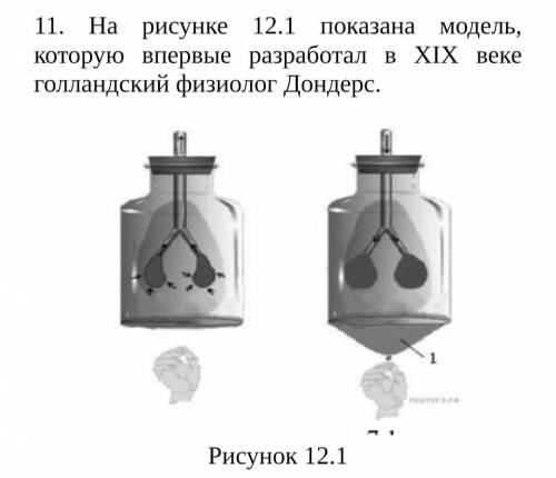 . СОЧ. (і) какой процесс, можно было продемонстрировать с данного устройства? [1](іі) функцию каких