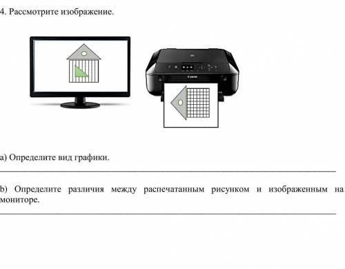 4. Рассмотрите изображение. a) Определите вид графики. b) Определите различия между распечатанным ри