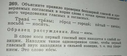 ‼️‼️‼️ЗДАВАТЬ ЧЕРЕЗ 25 МИНУТ ‼️‼️‼️‼️ ‼️‼️‼️