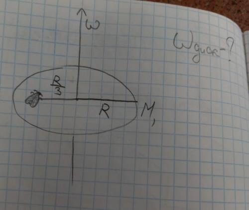 Диск вращался относительно оси с одной угловой скоростью w, радиус r и массой диска m1. Затем на дис