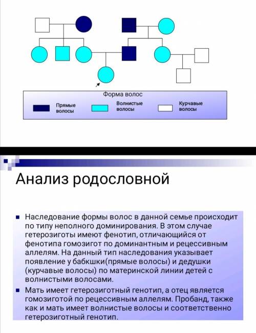 Сделать анализ родословной по образцу