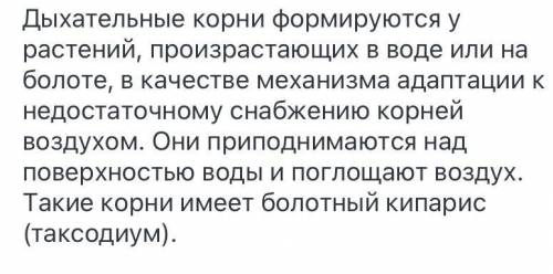 1.1)Почему у растений, растущих на заболоченных почвах, развиваются дыхательные корни? 2)Почему раст