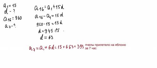 В первый час после рассвета на яблоню прилетело 15 пчёл, а в каждый следующий час этого дня прилетал