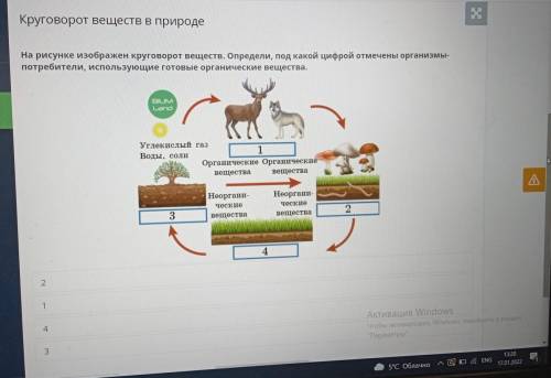 Круговорот веществ в природе На рисунке изображен круговорот веществ. Определи, под какой цифрой отм