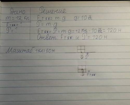 На столе стоит коробка с книгами массой 12 кг. Определите силу тяжести и вес коробки. Изобразите эти