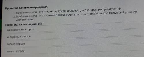 проблема текста это предмет обсуждения вопрос над которому рассуждает автор второе проблемы текста э