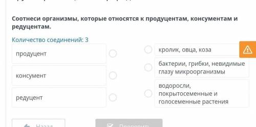 Соотнеси организмы, которые относятся к продуцентам, консументам и редуцентам. Количество соединений