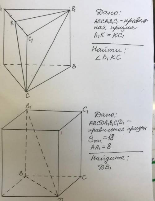 Дано АВСА1В1С1- правильная призма А1К=КС1 найти:/_В1 КС