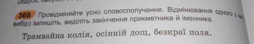 провідміняйте усно словосполучення. Відмінювання одного з них (на вибір) запишить,виліть закінчення