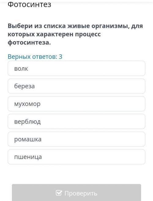 выбери из списка живые организмы для которых характерен процесс фотосинтезабереза пшеница волк мухом