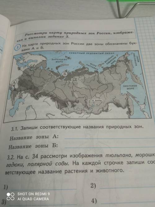 На карте природных зон России две зоны обозначены буквами А и Б