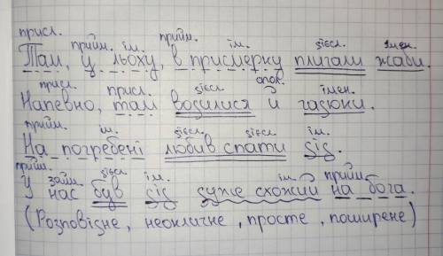 Синтаксичный розбір речень + висновок Там, у льоху, в присмерку плигали жаби. Напевно, там водилися