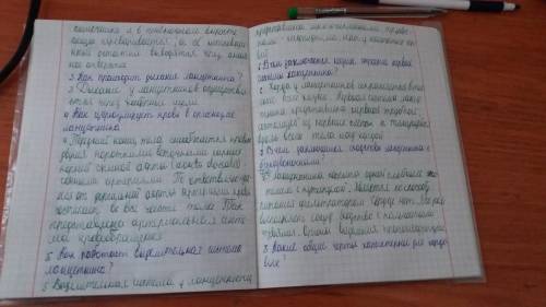 1. Чем характеризуется скелет и мышцы ланцетника? 2. Как построена пищеварительная система ланцетник