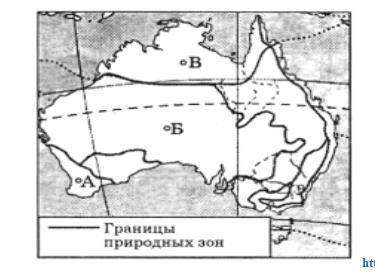 А) Определите природную зону Австралии по рисунку (под Б) В) Опишите главную особенность этой природ