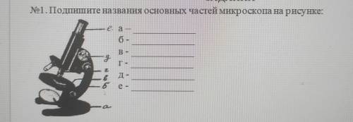 1.Подпишите названия основных частей микроскопа на рисунке.