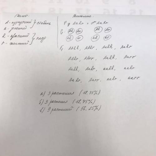 У рослин томата ген пурпурного забарвлення стебла (А) домінує над геном зеленого заба- рвлення (а),