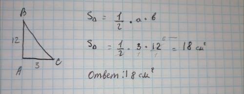 1. Найдите площадь прямоугольного треугольника, если его катеты равны 3 см и 12 см (делайте краткое
