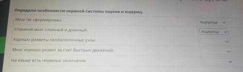 Определи особенности нервной системы пауков и ящериц. Мозг не сформирован. СПИННОЙ МОЗГ сложный и дл