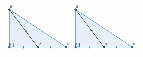 Докажите равенство прямоугольных тре угольников по катету и проведённой к нему мидиане (рис. 16.25).