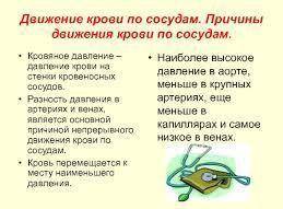 Биология 8класс. Что такое лимфообращения.Движение крови по сосудам.Кратко, чётко и понятно.Быстрее