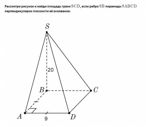 Рассмотри рисунок и найди площадь грани SCD , если ребро SB пирамиды SABCD перпендикулярно плоскости