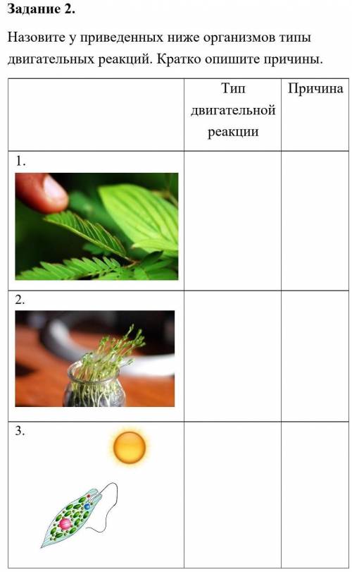 Назовите у приведенных ниже организмов типы двигательных реакций. Кратко опишите причины. Тип двигат