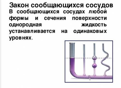 Есть четыре сообщающихся сосуда разной формы. Если налить в них воду, будет ли она на одинаковом уро