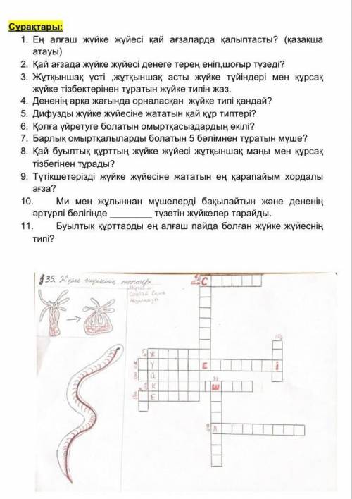 ПОМАГИТЕ ДАМ 5 ЗВЁЗДЫ