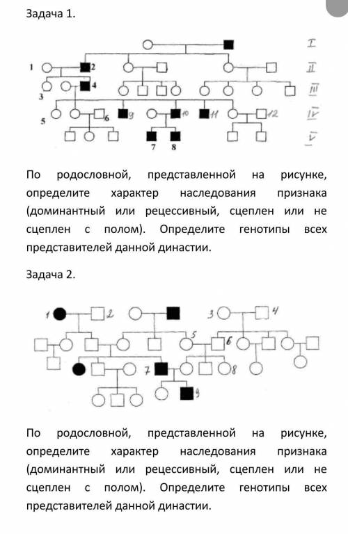 Биология ,9 класс решить