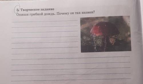 5. Творческое задание Опиши грибной дождь. Почему он так назван?